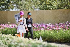 BIB: 
                            <button type="button" onclick="openModal(27794548)" class="btn btn-primary btn-sm float-right btn-popup" data-toggle="modal" data-target=".modal-high-quality">
                        <i class="fas fa-shopping-cart"></i> Add to Cart
                    </button>
                                            <button type="button" onclick="isThisMe(27794548, true)" class="btn btn-success btn-sm float-right btn-popup btn-isme hidden" data-toggle="tooltip" data-placement="bottom" title="นี่คือรูปของคุณใช่ไหม คลิกที่นี่เพื่อเอาเข้าอัลบั้ม">
                        <i class="fas fa-plus"></i> Add to album
                    </button>
                    <button type="button" onclick="isThisMe(27794548, false)" class="btn btn-warning btn-sm float-right btn-popup btn-isnotme hidden">
                        <i class="fas fa-ban"></i> Remove from album
                    </button>